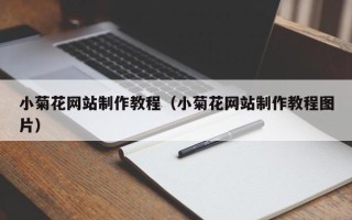 乐陵小菊花网站制作教程（小菊花网站制作教程图片）