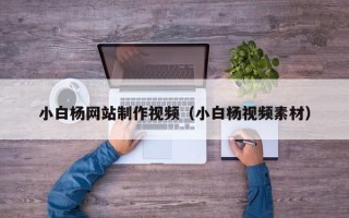 乐陵小白杨网站制作视频（小白杨视频素材）