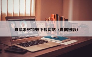 乐陵白鹅素材特效下载网站（白鹅摄影）
